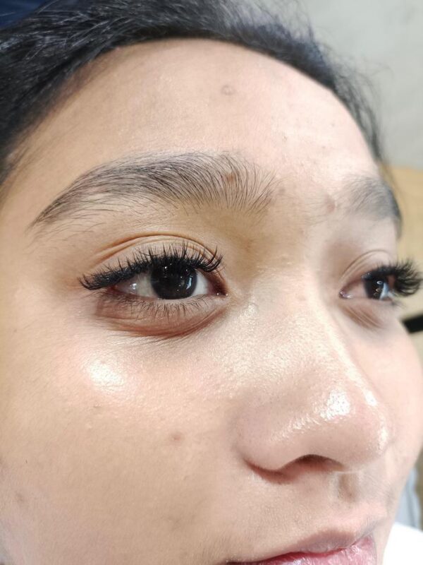 eyelash (3)