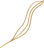 leaf23